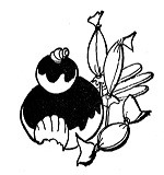 jf30